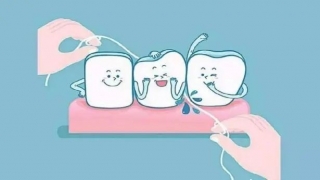 想种牙先治好你的牙周病