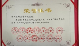 我院被评为文化科技卫生“三下乡”活动先进集体