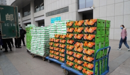 齐心协力，共战疫情——我院再次收到社会爱心捐赠