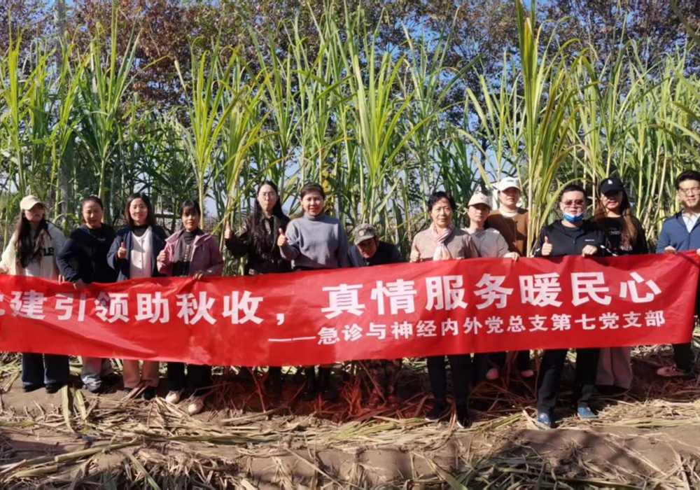 急诊与神经内外总支第七党支部开展助农秋收主题党日活动