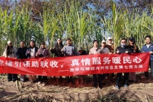 急诊与神经内外总支第七党支部开展助农秋收主题党日活动