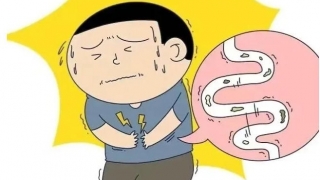 假期，别让你的肠胃“加班”！