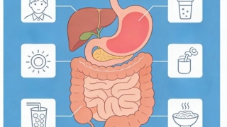 从“肠”计议，“胃”爱出发：肠胃健康复工指南