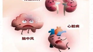 高血压：悄悄毁掉大脑的“隐形杀手”