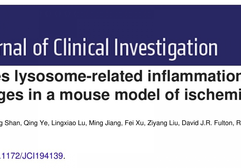 我院神经内科王苗副教授在国际著名期刊Journal of Clinical Investigation发表高水平研究成果