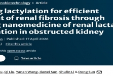 孙东教授团队发表慢性肾脏病相关最新研究成果