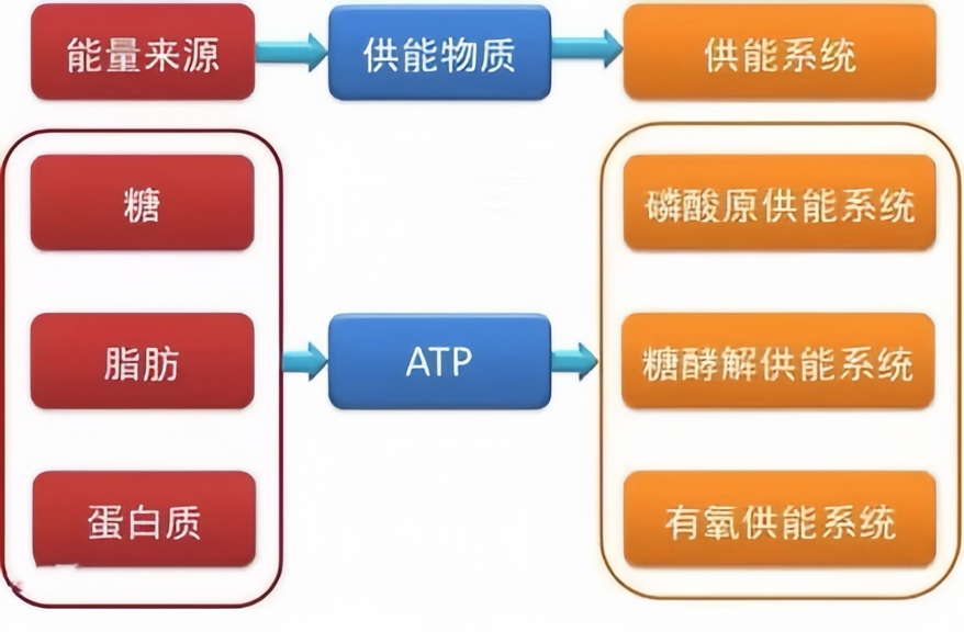 图片 1155712509
